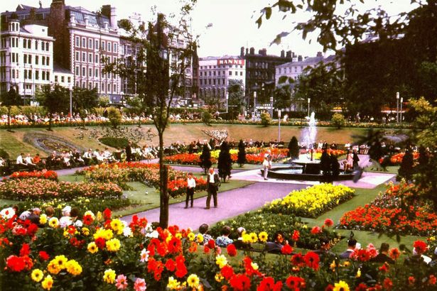 Piccadilly flowers